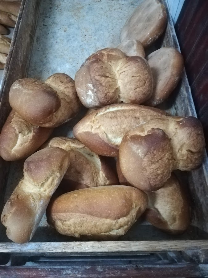 Antonio Puyuelo Mairal