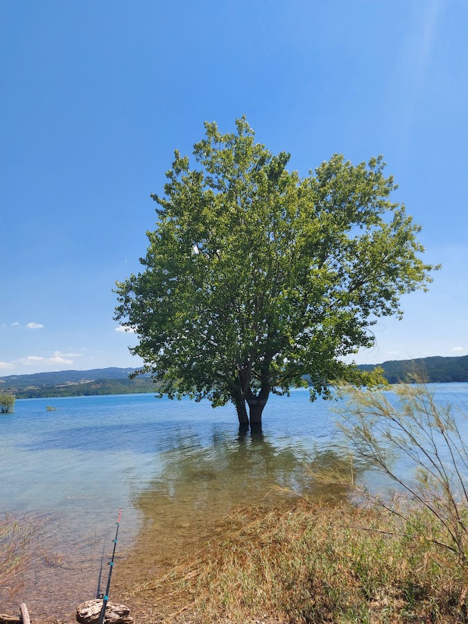 CLUB DEPORTIVO BARASONA