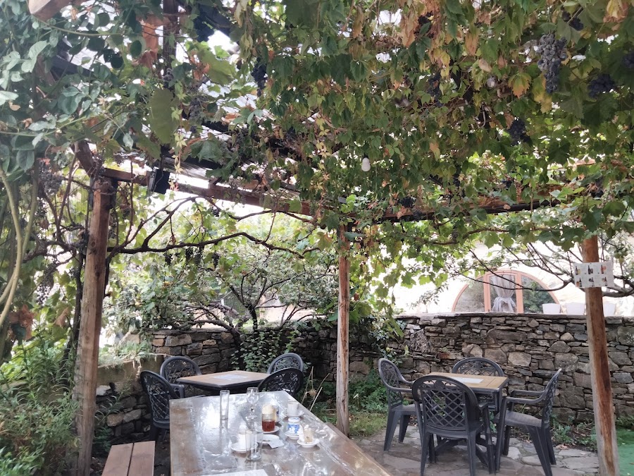 El Fresno Bar Terraza