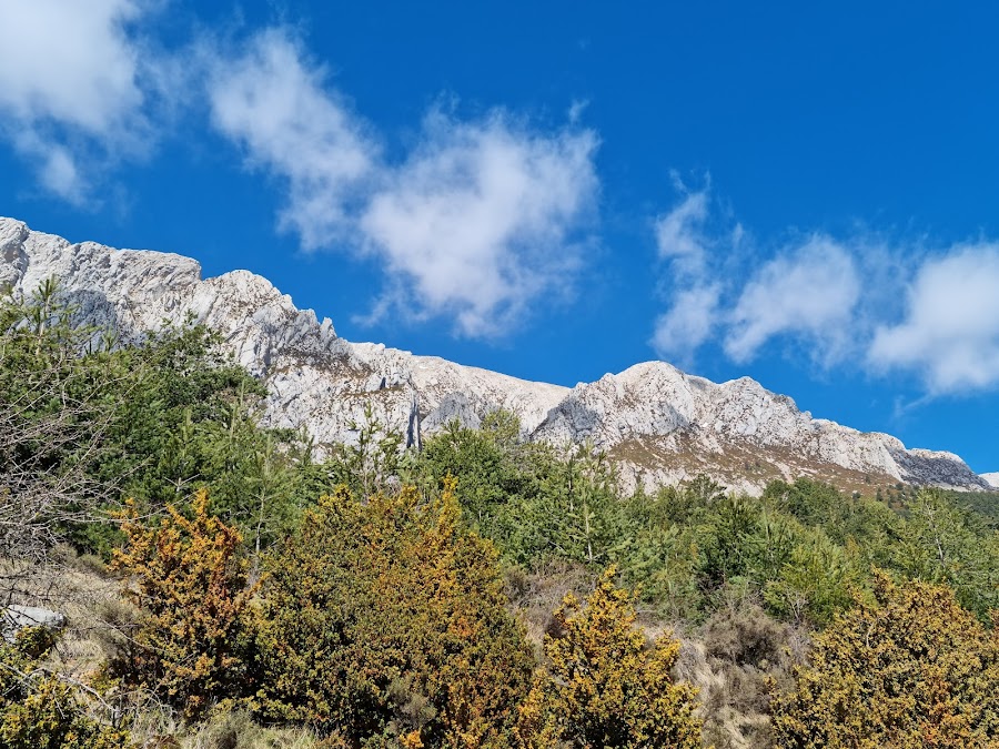 Manantial Virgen De La Peña Vilas Del Turbón